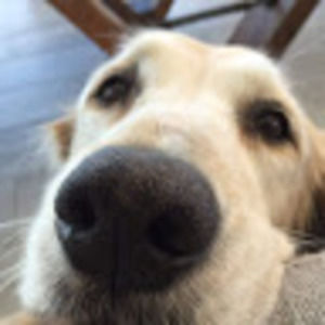 Meet your Posher, Noah